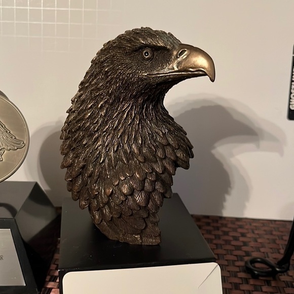 HD Eagle Head - Picture 1 of 1